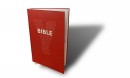 Youcat: Bible