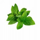 Peppermint Essential Oil - 10ml