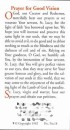 Prayer Card: St Lucy - Prayer For Good Vision x 10
