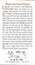 Prayer Card: St Lucy - Prayer For Good Vision x 10