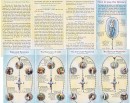 Rosary Leaflets x 12