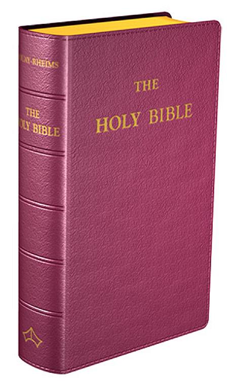The Holy Bible - Douay Rheims - Pocket size edition - Burgundy