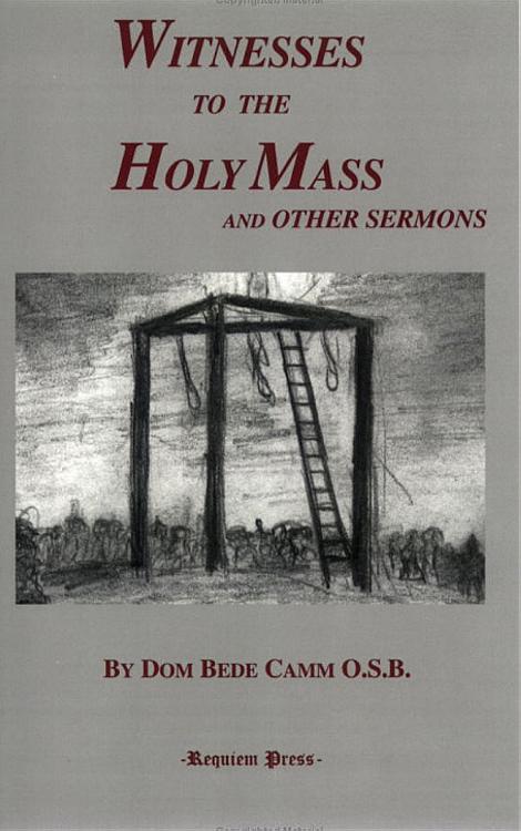 Witnesses to the Holy Mass