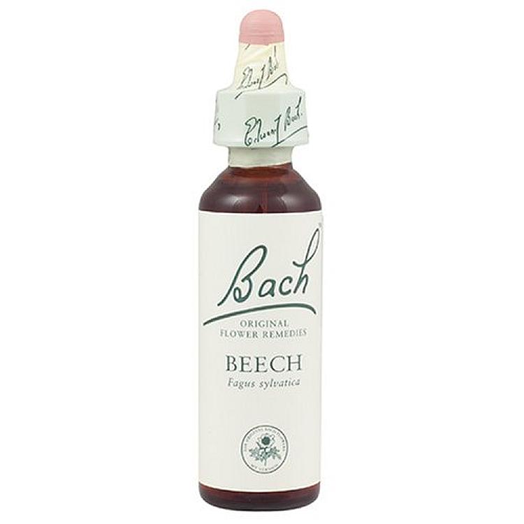 Bach Beech 20ml Original Flower Remedy