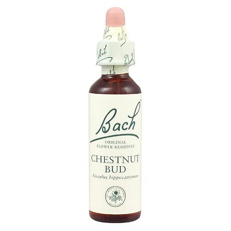 Bach Chestnut Bud 20ml Original Flower Remedy