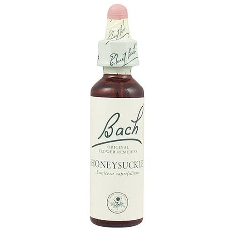 Bach Honeysuckle 20ml Original Flower Remedy