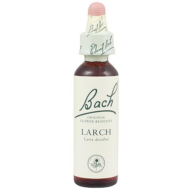 Bach Larch 20ml Original Flower Remedy