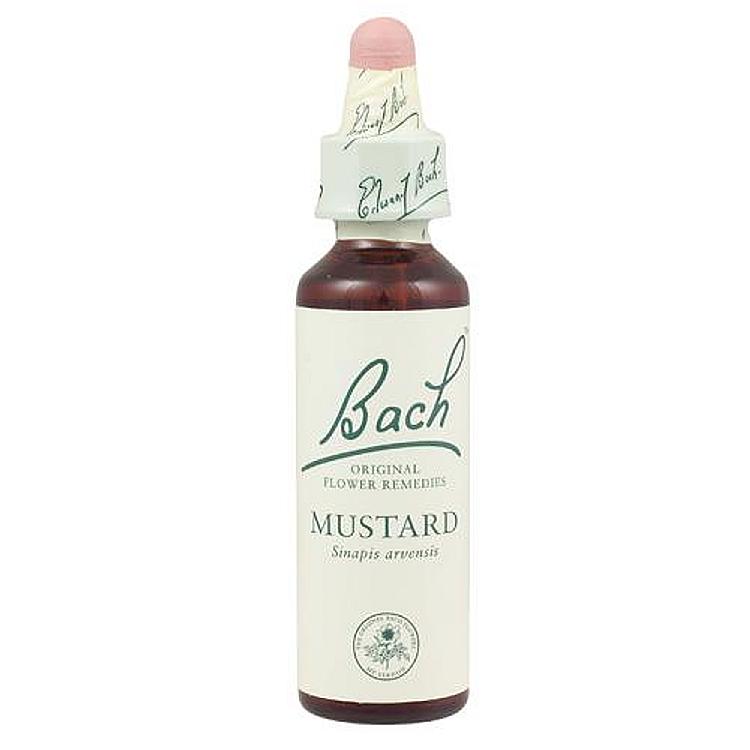Bach Mustard 20ml Original Flower Remedy