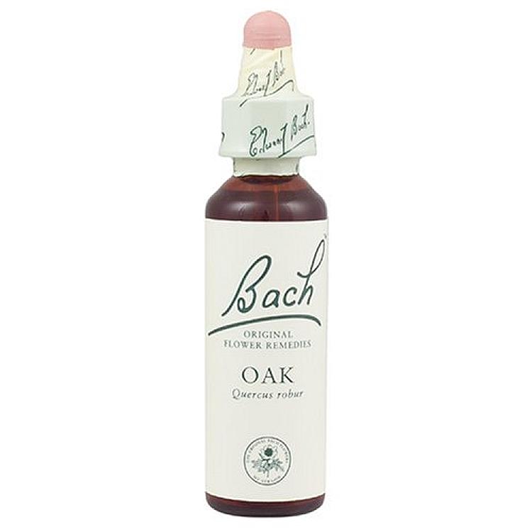 Bach Oak 20ml Original Flower Remedy