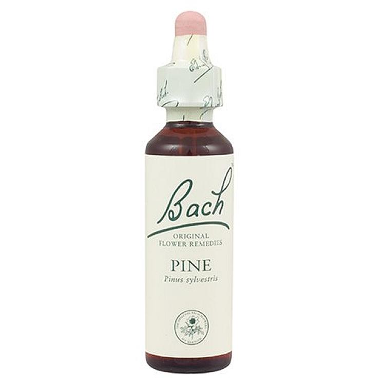Bach Pine 20ml Original Flower Remedy