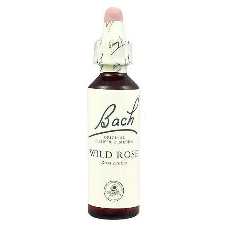Bach Wild Rose 20ml Original Flower Remedy