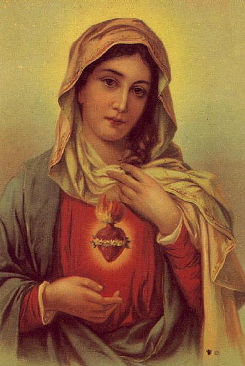 Immaculate Heart of Mary Image 8x10