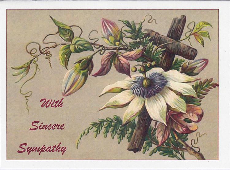 Sympathy Card - Sincere Sympathy