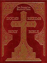 Haydock Douay-Rheims Bible - Burgundy
