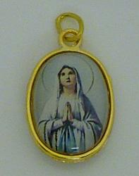 Picture medal - Our Lady of Lourdes x 6