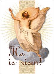 Easter Card pack - He is Risen! (Pack of 6)