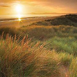 Greetings card - Harlech Dunes