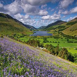 Greetings card - Tal-y-Llyn