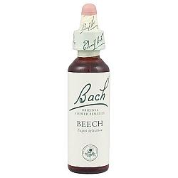 Bach Beech 20ml Original Flower Remedy