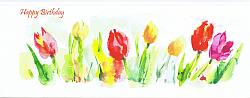 Birthday Card - Tulips